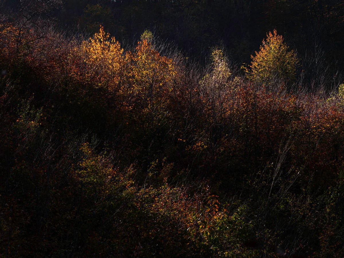 Un Photo Club Adrian Scarbrough 10